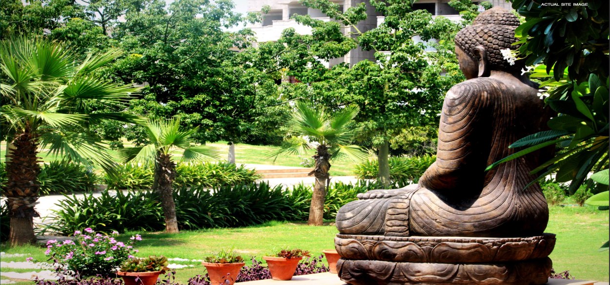 Bptp green oaks plots