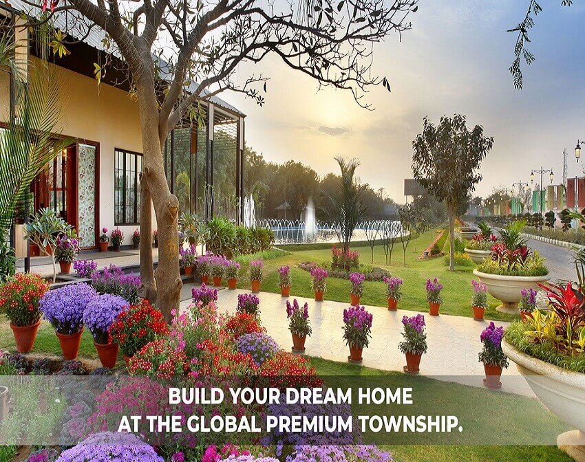 Central park mikasa plots