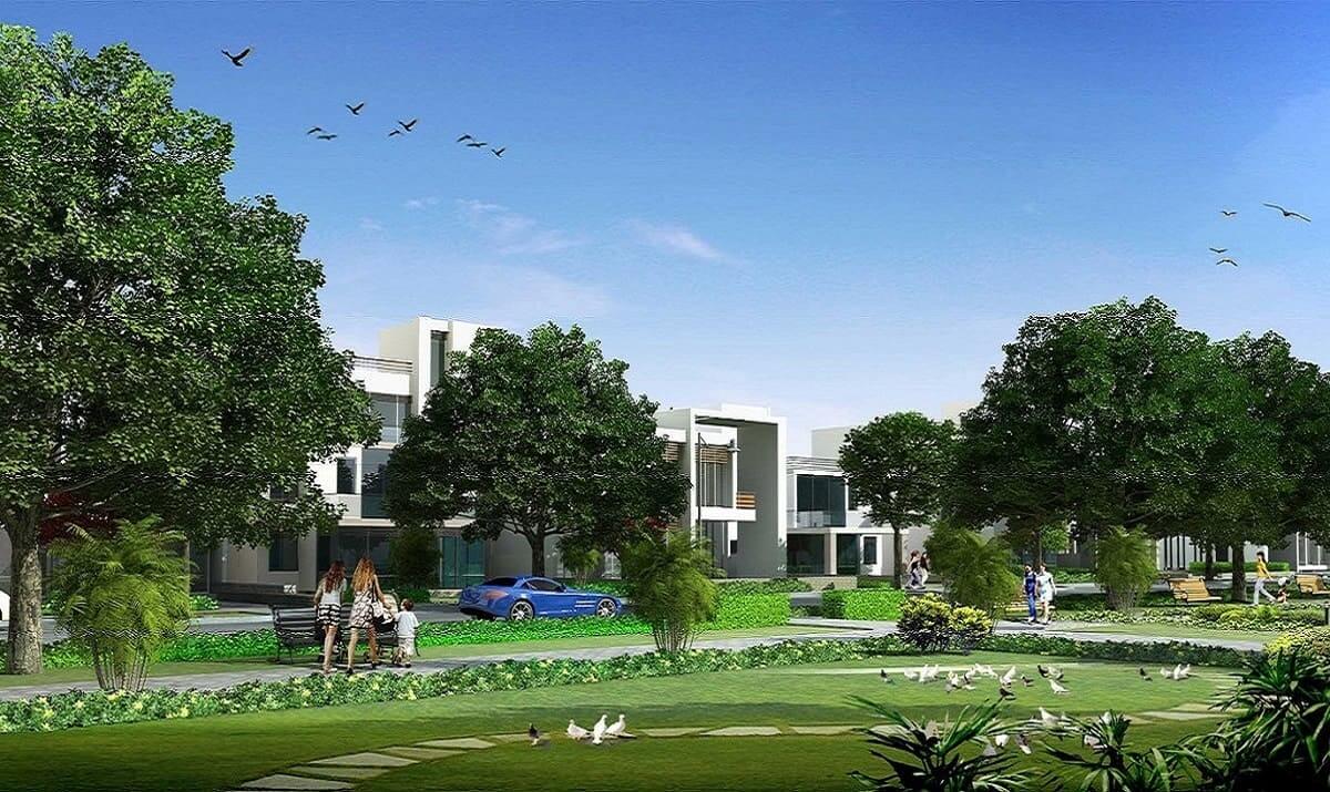 Vatika aspiration plots